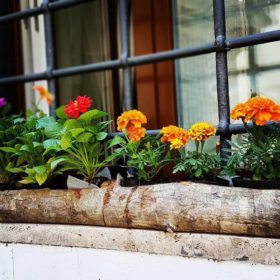 Navona Sweet Home Rom Exterior foto
